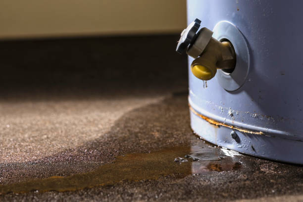Best 24-hour water damage restoration  in Wilkesboro, NC