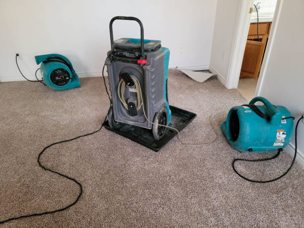 Water damage restoration experts in Wilkesboro, NC