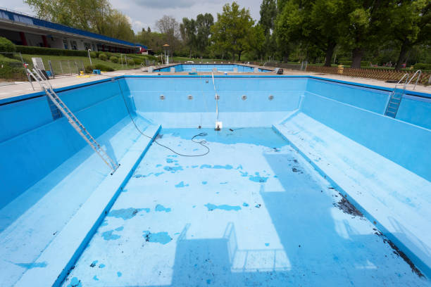 Best Flood damage cleanup  in Wilkesboro, NC