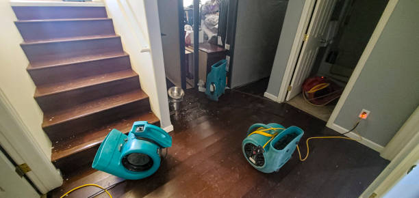Best Water damage restoration near me  in Wilkesboro, NC