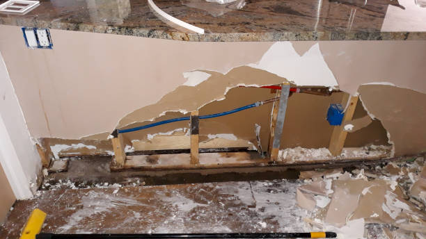 Best Professional water damage repair  in Wilkesboro, NC