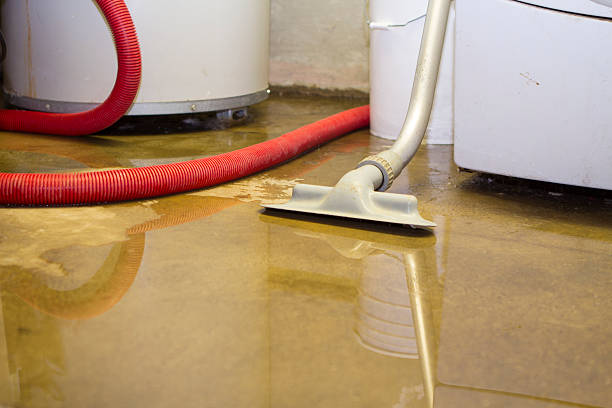 Best Emergency water damage restoration  in Wilkesboro, NC