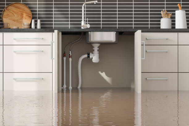Best Flood restoration services  in Wilkesboro, NC