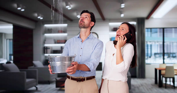  Wilkesboro, NC Water damage restoration Pros