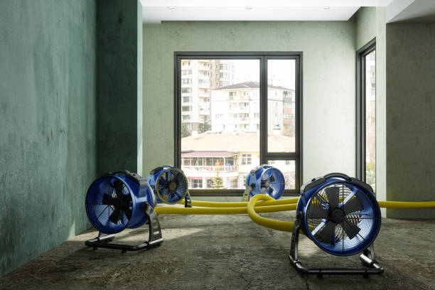 Best Water damage repair service  in Wilkesboro, NC